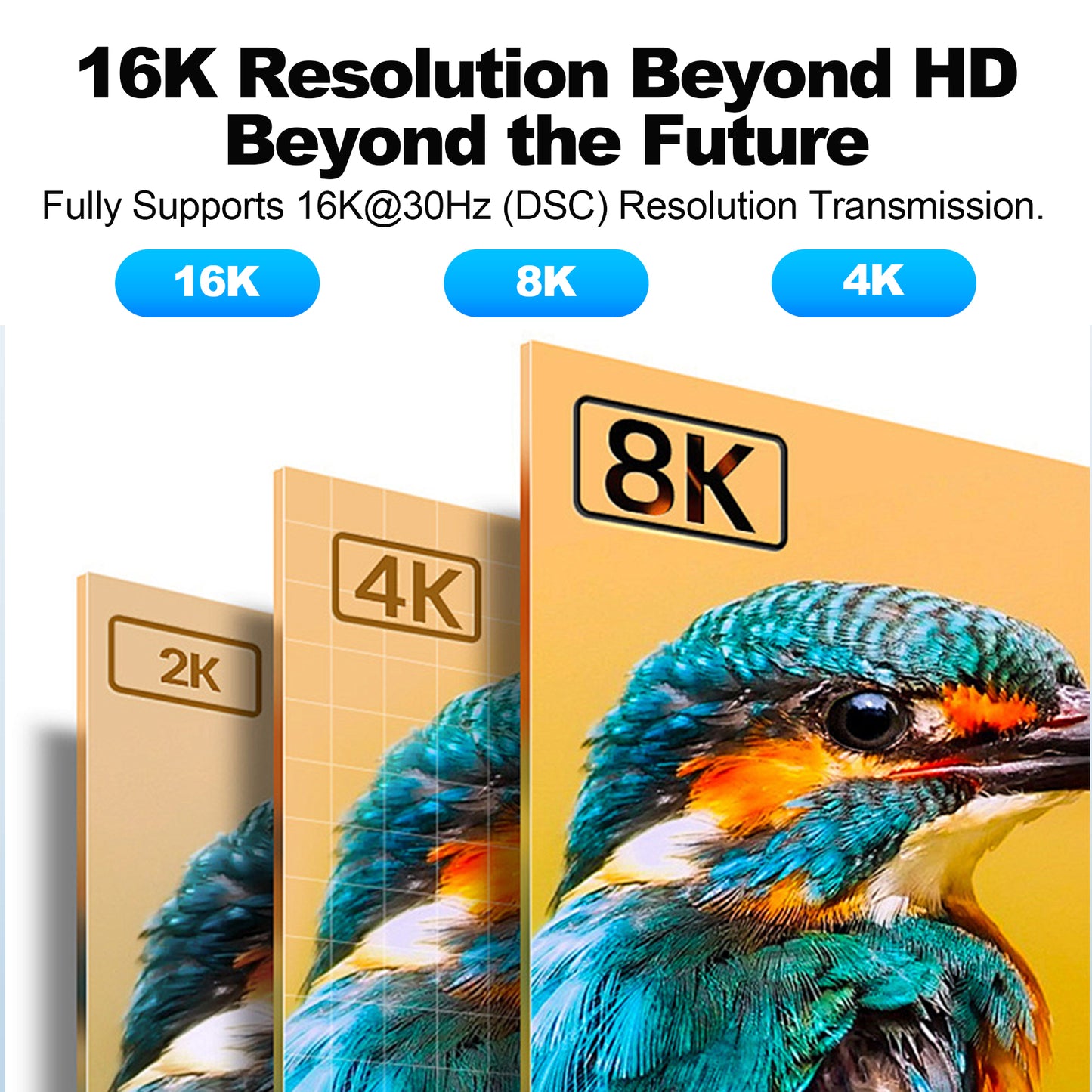 DisplayPort 2.1 Male to Male 54G Cable B401