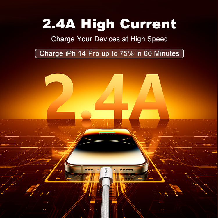 USB 2.0 A Male to Lightning Male Cable C301