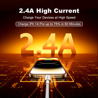 USB 2.0 A Male to Lightning Male Cable C301