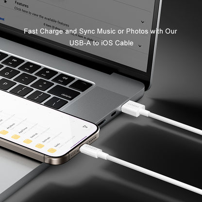 USB 2.0 A Male to Lightning Male Cable C301