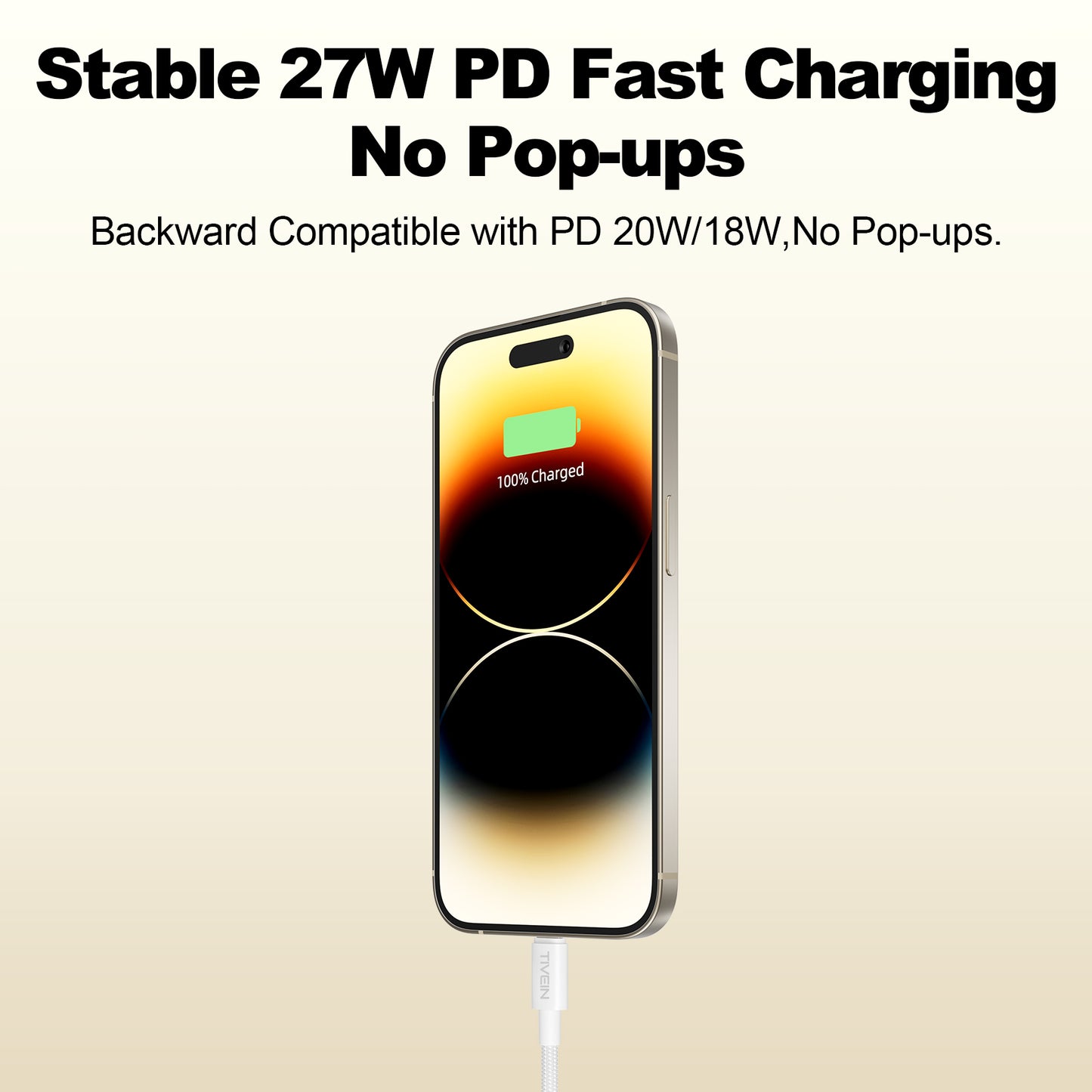 USB C Male to Lightning Male Cable C401